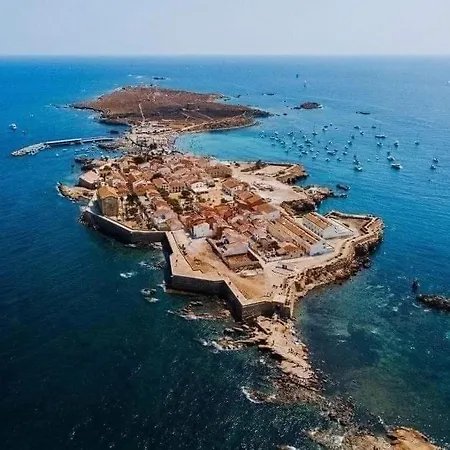 Espectacular En La Isla De 타바르카