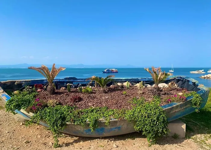 Espectacular En La Isla De *