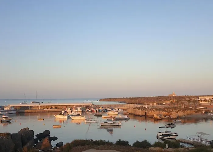 Espectacular En La Isla De تاباركا
